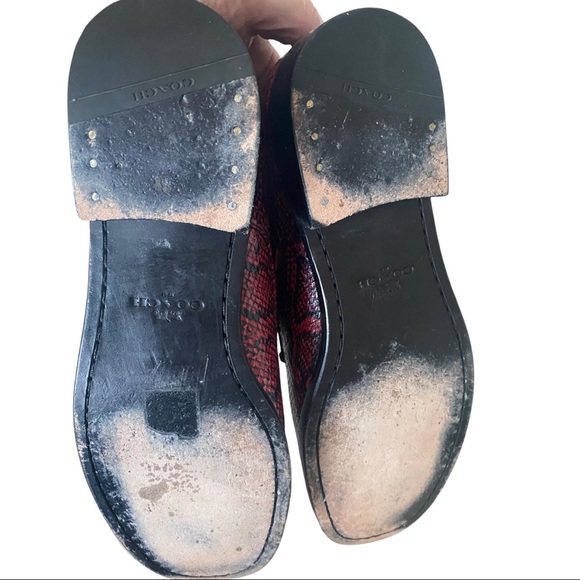 🔥 Coach snakeskin shoes - Picture 3 of 7